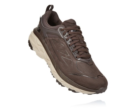 Sapatilhas Hoka One One Challenger Low GORE-TEX Portugal - Sapatilhas Trail Homem Cafes - WYFXSL-675